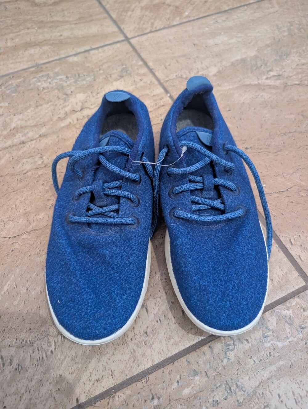 allbirds Blue Lace-Up Casual Sneakers 9